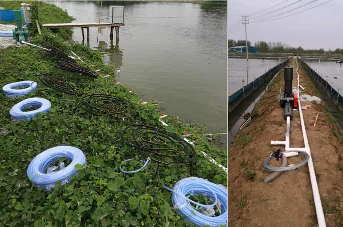 水產養殖供氧曝氣羅茨幸福宝APP污版下载